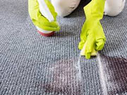 Commercial Carpet & Office Floor Care